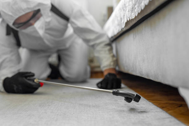 Professional Termite Control technician working in Alorton, IL