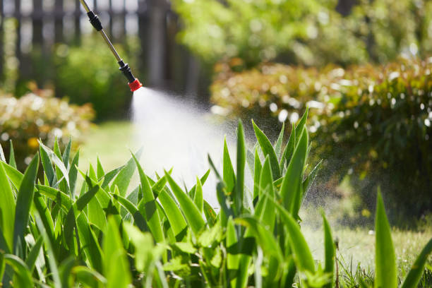 24/7 Emergency Termite Control experts in Alorton, IL