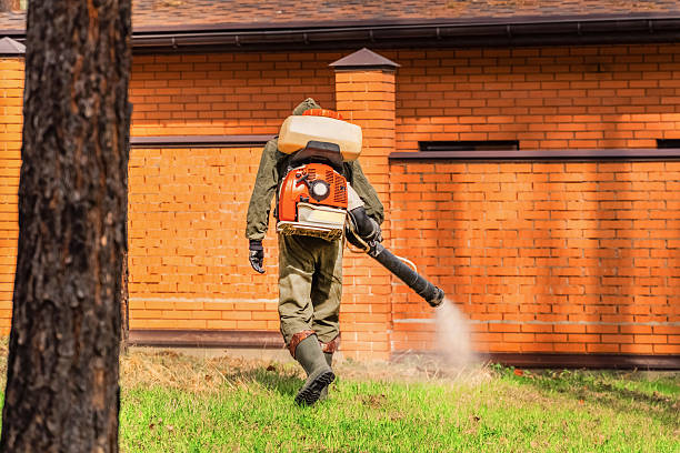 Top rated local Termite Control specialists in Alorton, IL